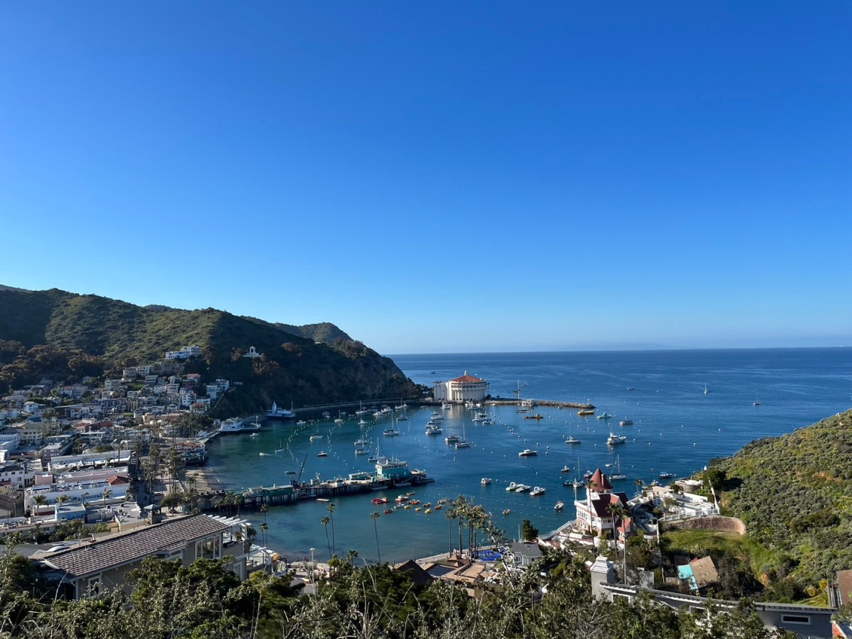 Santa Catalina Island兩日遊行程分享+推薦!!