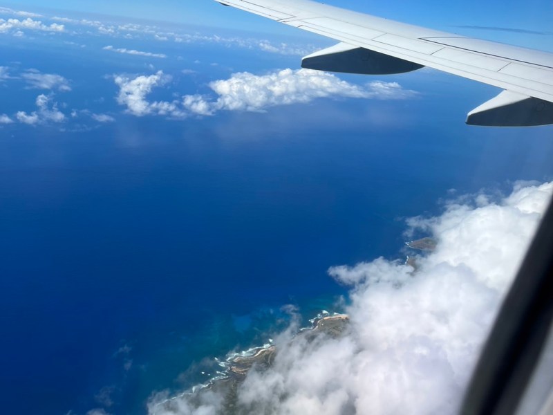 夏威夷自由行：歐胡島浮潛攻略，恐龍灣、海龜與鯊魚!!