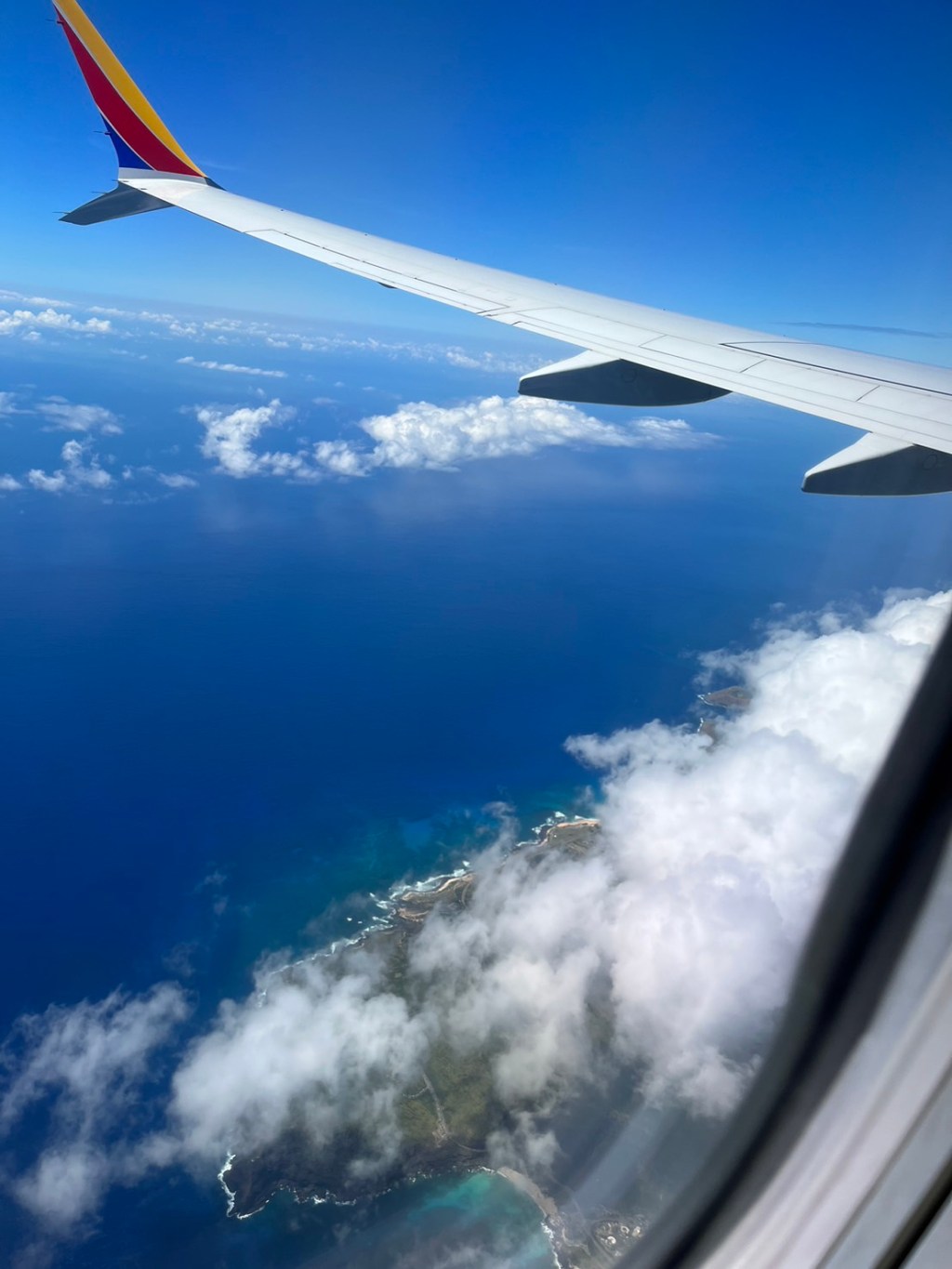 夏威夷自由行：歐胡島浮潛攻略，恐龍灣、海龜與鯊魚!!